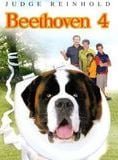 Beethoven 4
