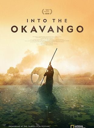 Au cœur de l'Okavango